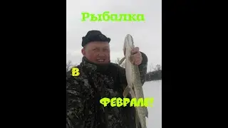 Рыбалка на щуку и окуня в феврале!