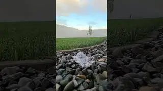 Old Faithful Backyard Geyser #happensfast #wet #eruption #sprinklerirrigation #rainbird