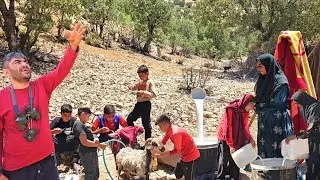 Lost in the Mountains: The Wonders of a Hard Life in the Noise of the Rocks
