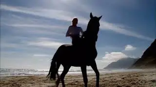 WILD HORSES PIANO VERSION COVER BY ELISIA E