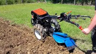 Goldoni my special 14 sr  e aratro rotativo berta