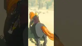 Re Nero - The Legend of Zelda Breath of the wild