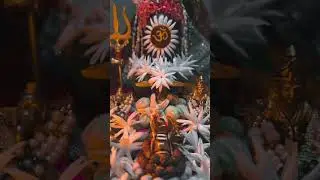 har har Mahadev 🔱🙏 status | #shorts #mahadev #bolbam #viral #india