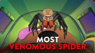 What If You Were Bitten By The Most Venomous Spider?