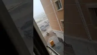 rain ❄️❄️
