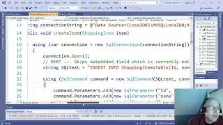CIS3285 Final Project Sample - Shopping List level 1 - SQL and database access
