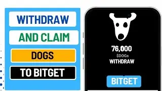 How To Withdraw Dogs To Bitget