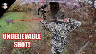 PERFECT SHOT on a Big West Virginia Buck!