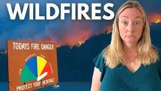 Defend Your Home! 5 ways to protect your home from wildfires