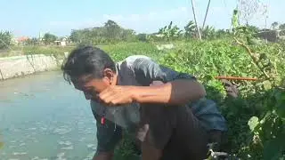 mancing di kendal doyong sidoarjo