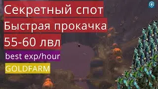 Wow classic: Секретный спот быстрая прокачка мага 55-60 / деревня танцующих троллей /