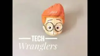 Tech Wranglers.... What's it ?