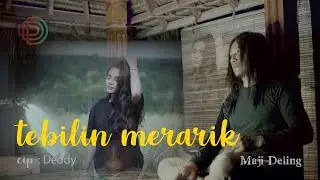 Lagu Sasak Tebilin Merarik - MAJI DELING @d STUDIO
