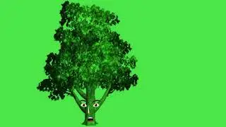 no copyright, Green screen video