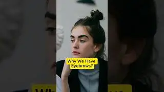 Why We Have Eyebrow Hair?