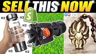 Top 10 Daily Winning Products For Shopify Dropshipping (July 2022)