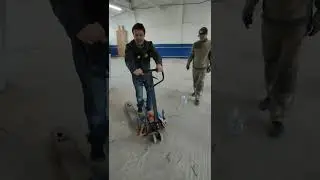 гонки на рохлях
