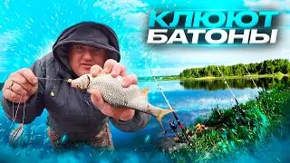 Озеро не отпускает. Сamping ,fishing,bushcraft,