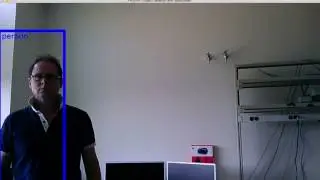 demo of object localization with bounding box