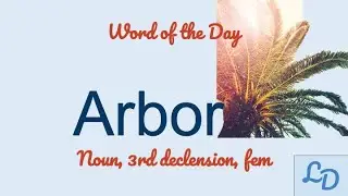 Word of the Day: Arbor