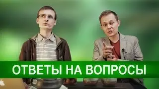 Хранение чая.  Дань Цун - Как заваривать? | Art of Tea, китайский чай
