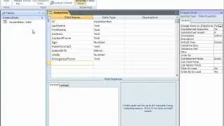 Theresa Access 1
