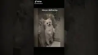 Klavye delikanlısı #shotrs