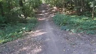 Последнее видео на канале.