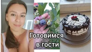 Подготовка к сюрпризу 🥰 Огородние дела, удобряем огород. Готовлю самый вкусный летний торт. 🥰