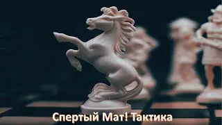 Спертый мат! Подробный разбор с задачами