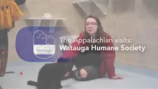 The Appalachian Visits: Watauga Humane Society