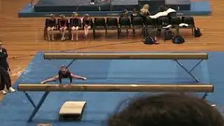 Level IDP 3 State Competition 2011