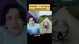 Perrito se fue a otra dimensión 😱 - Hey Crispin #humor #shorts