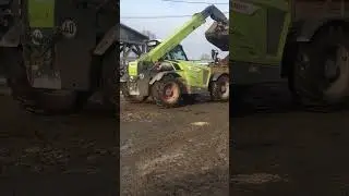 dung cleaning cow farm 