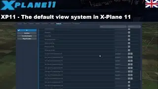 [XP11] The default view system in X-Plane 11 (ENGLISH)