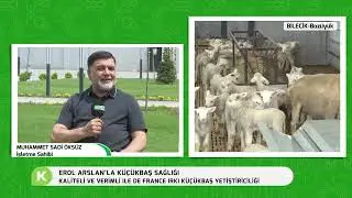 ILE DE FRANCE IRKI KÜÇÜKBAŞ YETİŞRİCİLİĞİ