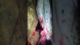Вот это 💪серце