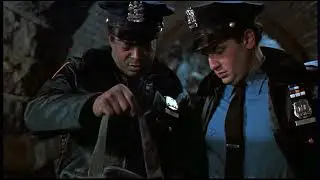 Home Alone 2 Wet Bandits arrested
