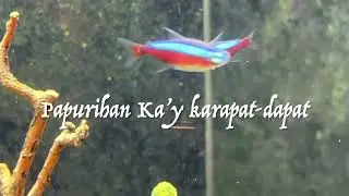 Dakilain Ka (Instrumental)