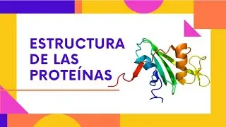 Estructura de las Proteínas