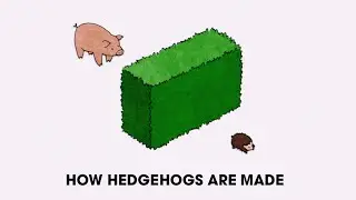Hedge