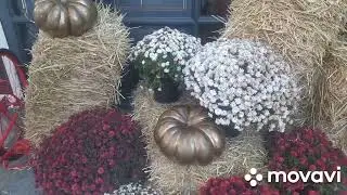 Всё утро тревоги!💥Слышали взрывы!Огородили забором разрушенный собор! 30.10.23.