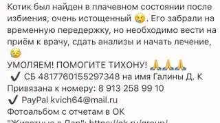 Бедняжка !!!