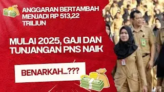 Anggaran Bertambah Menjadi Rp513,22 Triliun, Mulai 2025, Gaji dan Tunjangan PNS Naik, Benarkah?