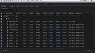 Поиск по Проекту и Поисковые Binы