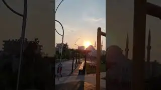 ميدو