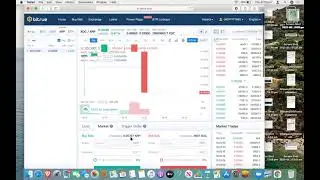 How to buy XDC in Bitrue - Quick Navigation with Digital Intell Women, Lee Anne Muirhead.
