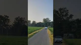 Punch Ev and Nature