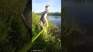 Прикормка работает