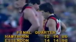 1982 - Essendon vs Hawthorn - RD 8